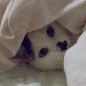 Meet your Posher, Naomi